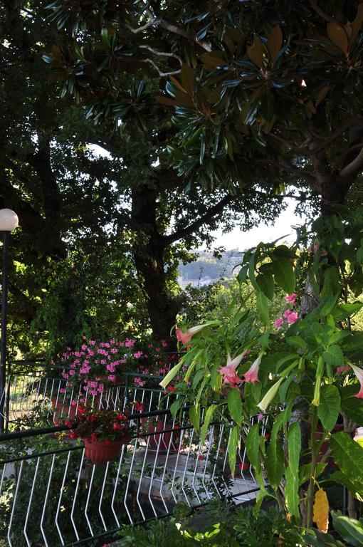 Hotel Firenze キアンチャーノ・テルメ 部屋 写真